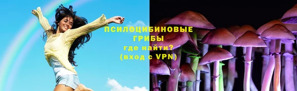 метадон Арсеньев