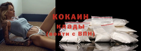 ГАЛЛЮЦИНОГЕННЫЕ ГРИБЫ Аркадак
