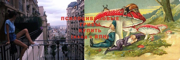 метадон Арсеньев