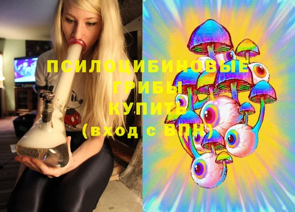 ПСИЛОЦИБИНОВЫЕ ГРИБЫ Армянск