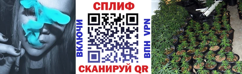 Шишки марихуана сатива  Купить  Сольцы 